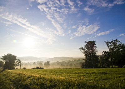 Sonnenaufgang über einem grasbewachsenen Feld mit vereinzelten Bäumen, Nebel in der Ferne und einem blauen Himmel mit Wolkenfetzen.