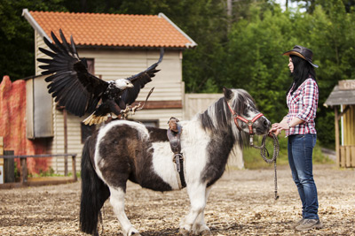 Een vrouw in een geruit shirt en cowboyhoed staat naast een klein paard terwijl een kale adelaar met open vleugels op het zadel van het paard zit.