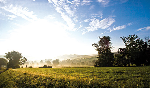 Eine sonnenbeschienene ländliche Landschaft mit grünem Gras, verstreuten Bäumen und leichtem Nebel in der Ferne unter einem blauen Himmel mit Wolken.