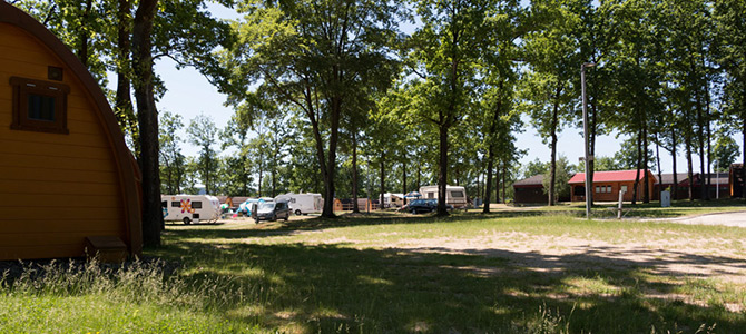 Camping met verschillende campers en campers geparkeerd tussen de bomen, met zonlicht dat er doorheen schijnt. Een houten gebouw is zichtbaar op de achtergrond.