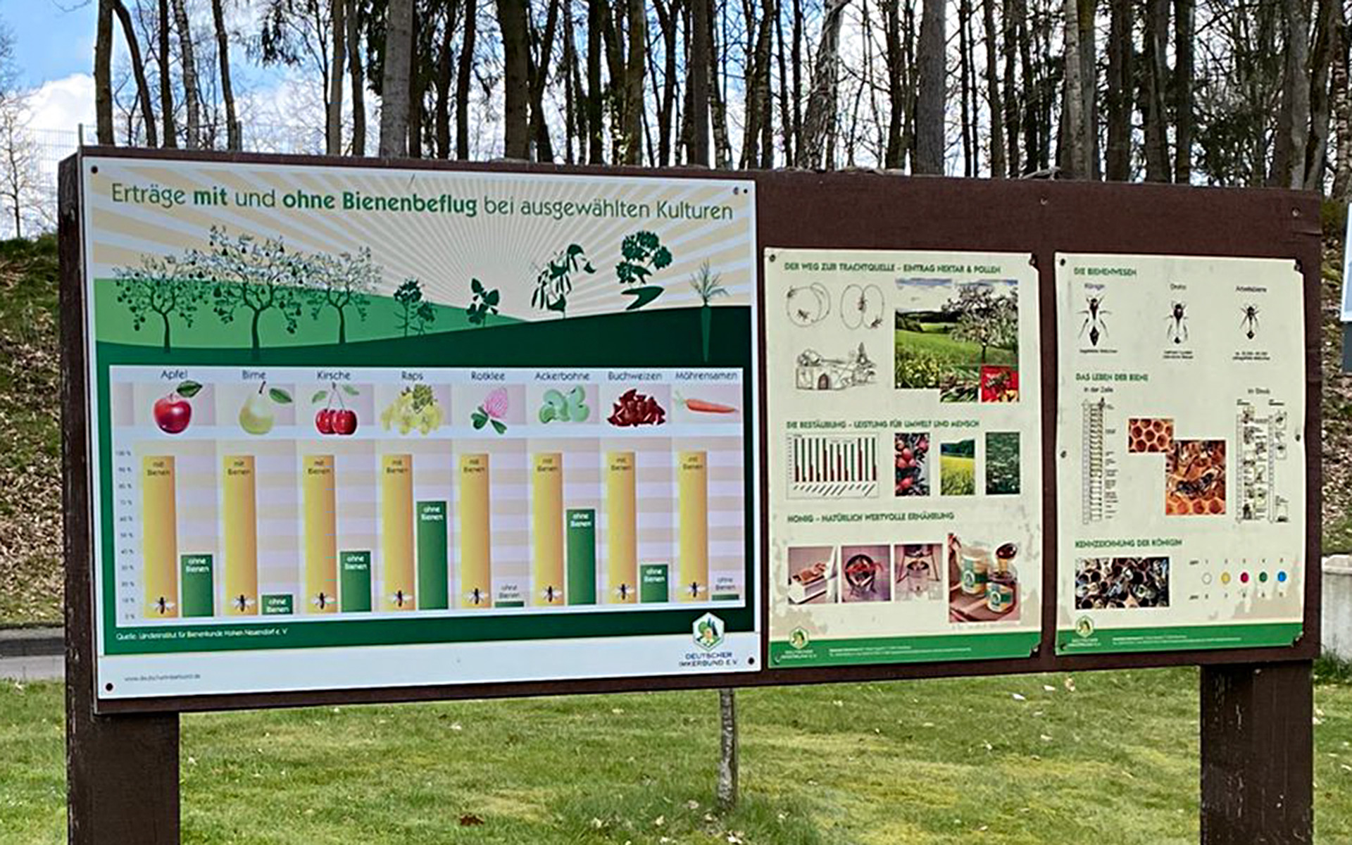 Informationstafel im Freien mit Tabellen und Diagrammen in deutscher Sprache über Ernteerträge mit und ohne Bienenbestäubung, mit Bildern von Pflanzen, Insekten und verschiedenen Datenvisualisierungen.