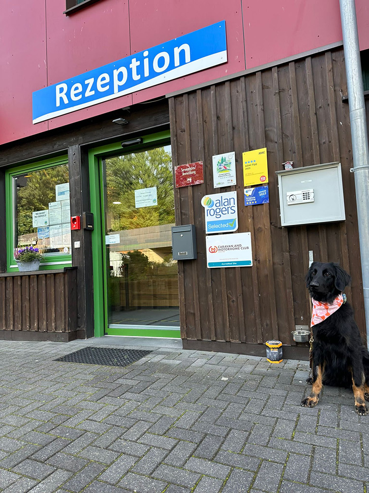 Ein schwarz-brauner Hund mit rotem Halstuch sitzt vor einem Gebäude mit grüner Tür und einem blauen Rezeptionsschild über dem Eingang und heißt die Gäste willkommen.