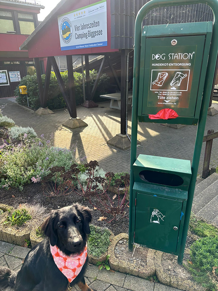 Ein schwarzer Hund mit einem orangefarbenen Halstuch sitzt in der Nähe einer grünen Entsorgungsstation für Hundekot außerhalb eines Campingplatzes.