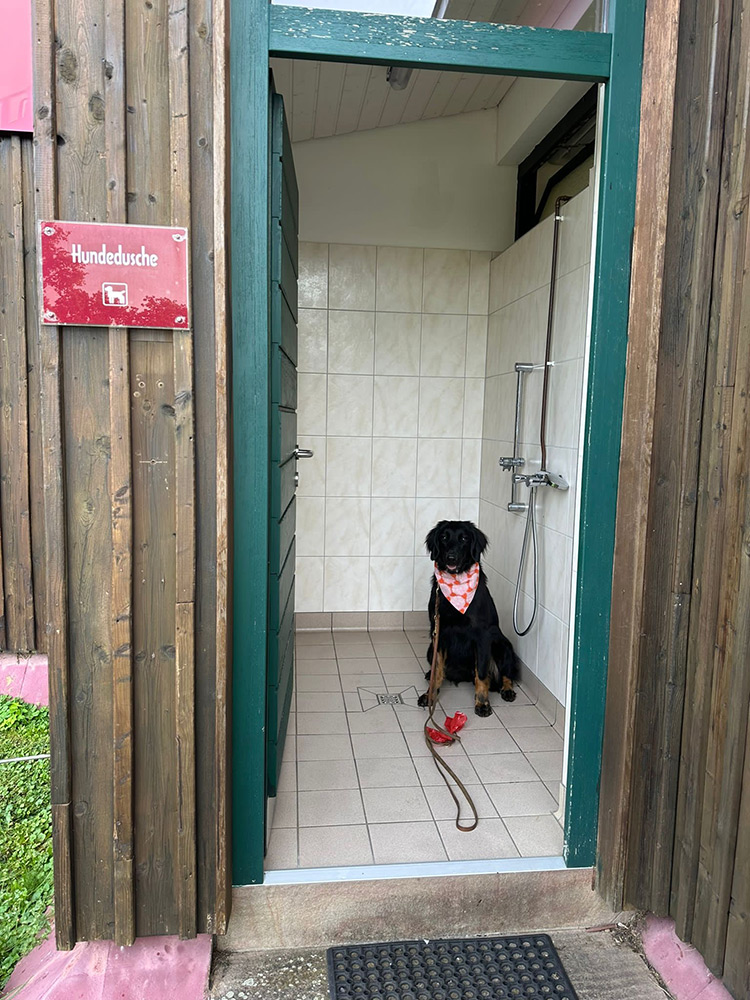 Ein schwarzer Hund mit rotem Halstuch sitzt auf dem gefliesten Boden einer Hundedusche, in deren Nähe sich eine Leine und ein Duschkopf befinden. An der Wand ist ein Schild mit der Aufschrift Hundedusche zu sehen.