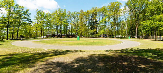 Een rondell kenmerkt een ronde verharde weg die een grasveld omringt met verspreide bomen, terwijl een gebouw op de achtergrond staat onder een gedeeltelijk bewolkte hemel.